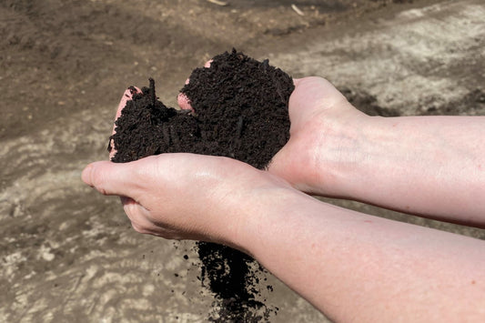 Closing the Loop - Cup Composting