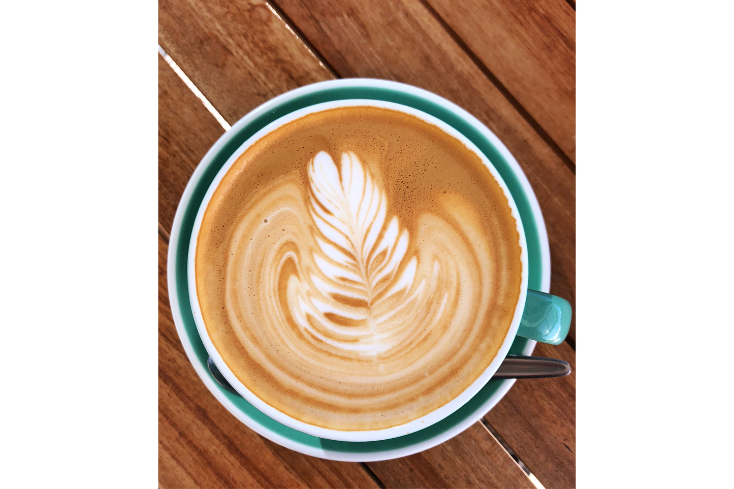 Latte Art Training Workshop