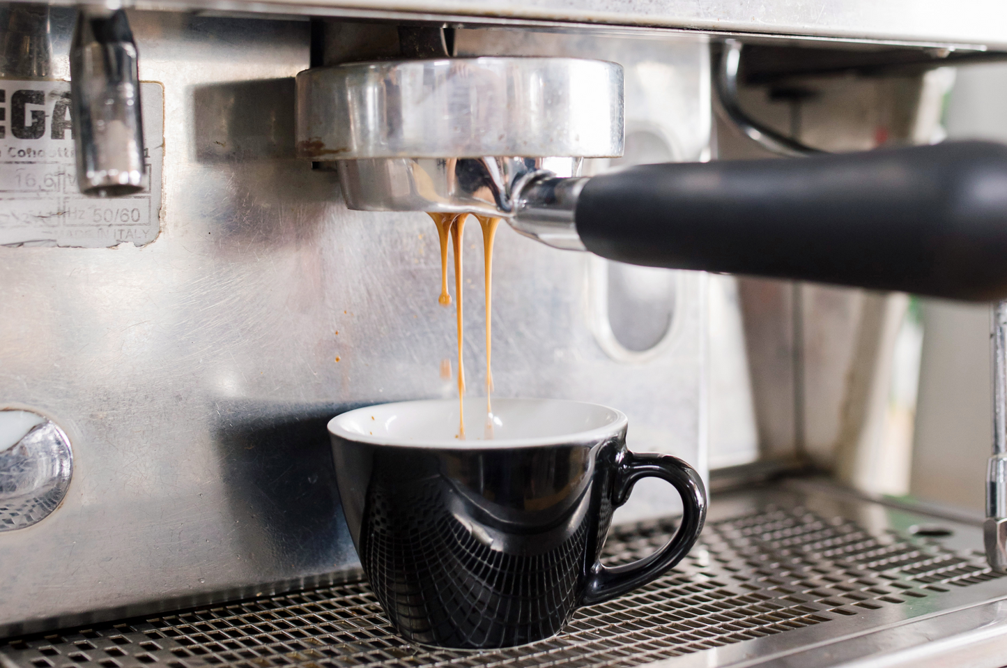 Barista Training Workshop